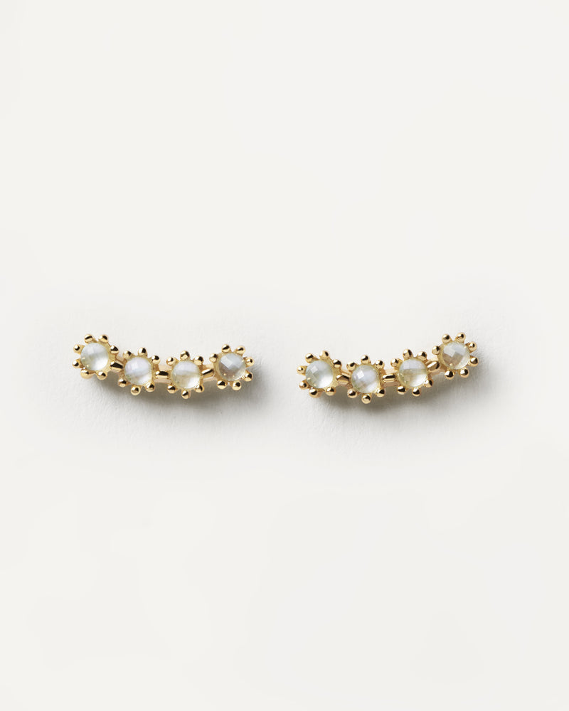 Blue Tide Climbing Earrings - 
  
    Sterling Silver / 18K Gold plating
  
