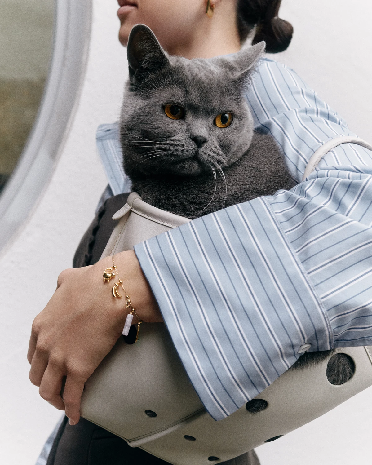 Charms image - PDPaola